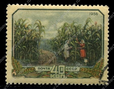 СССР 1956 г. • Сол# 1942 • Развитие сельского хозяйства • 40 коп. • кукурузное поле • Used(ФГ) VF - XF
