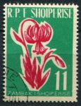 Албания 1961 г. • Mi# 635 • 11 L. • Полевые цветы • концовка серии • Used(ФГ)/** VF ( кат.- €3 )
