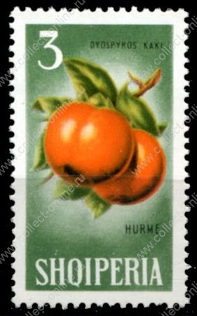 Албания 1965 г. • Mi# 914 • 3 L. • орехи и фрукты • хурма • MNH OG XF