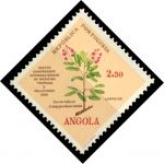 Ангола 1958 г. • Sc# 409 • 2.50 e. • Конгресс по тропической медицине • MNH OG VF ( кат. - $3.50 )