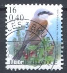 Бельгия 2000 г. • Mi# 2931 • 12 fr.(€0.40) • Птицы • стандарт • Used F-VF