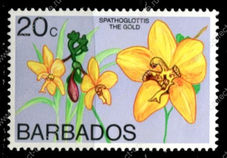 Барбадос 1974-1977 гг. • Sc# 404С • 20 с. • цветы (1-й выпуск) • орхидея спатоглоттис • MNH OG VF ( кат.- $6 )