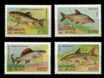 Беларусь 1997 г. • Mi# 217-220 • пресноводные рыбы • полн. серия • MNH OG VF