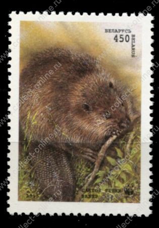 Беларусь 1995 г. • Mi# 98 • 450 р. • дикие животные • бобры • MNH OG VF