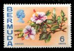 Бермуды 1970-1975 гг. • Gb# 254 • 6 c. • Елизавета II • осн. выпуск • цветы • MNH OG VF