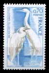 Франция 1975 г. • Mi# 1904 • 0.70 fr. • Фауна Европы, защита природы • MNH OG VF