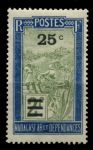 Мадагаскар 1932 г. • Iv# 188 • 25 c. на 2 fr. • осн. выпуск • путешественник в кресле-носилках • надпечатка нов. номинала • MNH OG F-VF