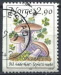 Норвегия 1987 - 1989 гг. • SC# 886 • 2.90 kr. • Съедобные грибы • рядовки фиолетовые • Used F-VF