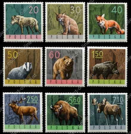 Польша 1965 г. • Mi# 1635-43 • 20 gr. - 7.10 zt. • Дикие животные Европы • MNH OG VF • полн. серия ( кат.- €6 )