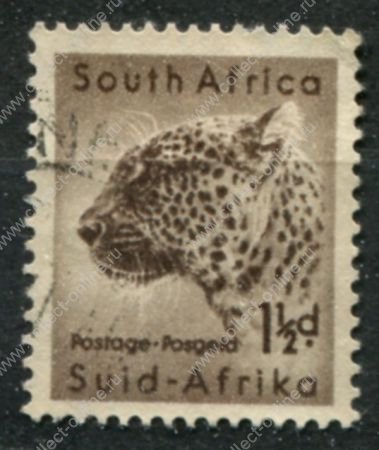 Южная Африка 1954 г. • GB# 153 • 1½ d. • Африканская фауна • леопард • Used F-VF