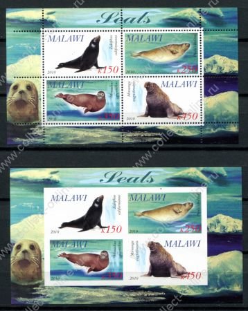 Малави 2010 г. • Mi# • Морская фауна, тюлени • 2 блока (зуб. и б.з.) • MNH OG VF