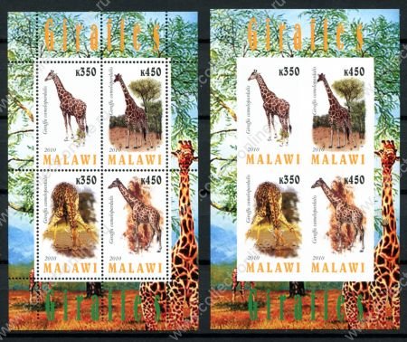 Малави 2010 г. • Mi# • Дикие животные, жирафы • 2 блока (зуб. и б.з.) • MNH OG VF