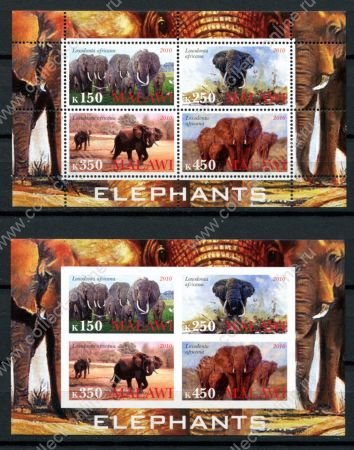 Малави 2010 г. • Mi# • Дикие животные, слоны • 2 блока (зуб. и б.з.) • MNH OG VF