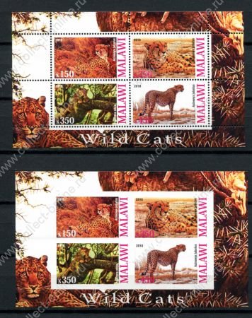 Малави 2010 г. • Mi# • Дикие животные, дикие кошки • 2 блока (зуб. и б.з.) • MNH OG VF