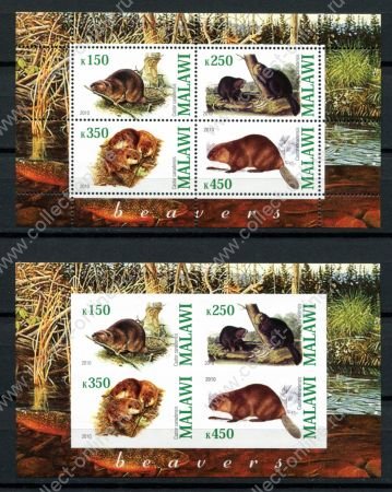 Малави 2010 г. • Mi# • Дикие животные, грызуны • 2 блока (зуб. и б.з.) • MNH OG VF