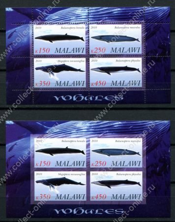 Малави 2010 г. • Mi# • Морская фауна, киты • 2 блока (зуб. и б.з.) • MNH OG VF