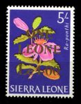 Сьерра-Леоне 1964-1966 гг. • Gb# 331 • 1 le./5 sh. • десятичная валюта (2-й выпуск) • надпечатка • MNH OG VF