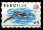 Бермуды 1978-1979 гг. • Sc# 379 • $5 • осн. выпуск • фауна • чайка • концовка MNH OG VF
