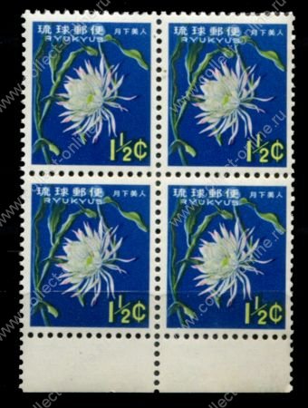 Рюкю 1963 г. • Sc# 107 • 1½ c. • Местная природа • цветок кактуса • кв. блок • MNH OG XF