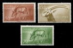 Испанская Сахара 1955 г. • Mi# 154-156 • фауна, копытные • полн. серия • MNH OG VF