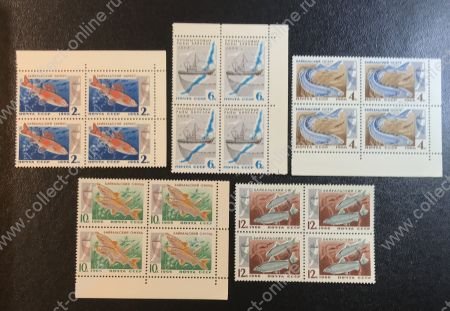 СССР 1966 г. • Сол# 3399-3403 • Промысловые рыбы Байкала • полн. серия • кв. блоки • MNH OG XF+