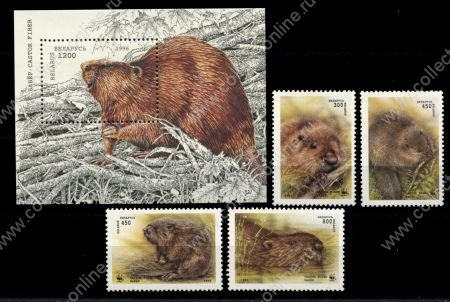 Беларусь 1995-1996 гг. • Mi# 96-99, Block 6 • дикие животные • бобры • серия + блок • MNH OG VF