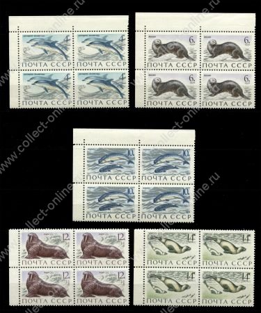 СССР 1971 г. • Сол# 4037-4041 • 4 - 14 коп. • Морские млекопитающие • полн. серия • кв. блоки • MNH OG XF+