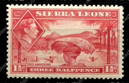 Сьерра-Леоне 1938-1944 гг. • Gb# 190 • 1½ d. • Георг VI • основной выпуск • уборка риса • MLH OG XF ( кат.- £ 20 )