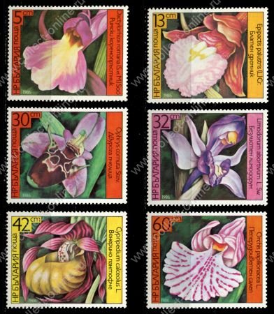 Болгария 1986 г.• Mi# 3441-6 • 5 - 60 st. • Орхидеи • полн. серия • MNH OG XF ( кат.- €4 )