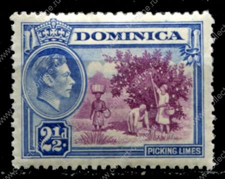 Доминика 1938-1947 гг. • Gb# 103 • 2½ d. • Георг VI • основной выпуск • сбор лимонов • MNH OG VF ( кат.- £ 6,5 )