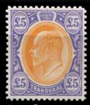 Трансвааль 1903 г. • Gb# 259 • £5 • Эдуард VII • стандарт • редкость! • копия