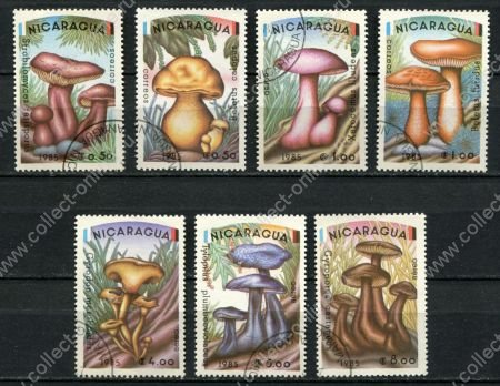 Никарагуа 1985 г. • SC# 1403-9 • 0.5 - 8 c. • Грибы • полн. серия • Used(ФГ) XF
