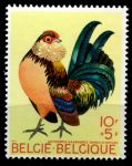 Бельгия 1969 г. • Mi# 1572 • 10+5 fr. • Птицеводство • антверпенский петух • MNH OG XF ( кат.- € 1 )