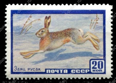 СССР 1960 г. • Сол# 2403 • 20 коп. • Фауна • заяц-русак • MLH OG VF