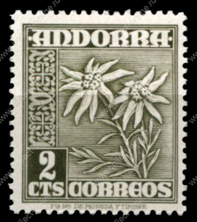 Андорра • Испанская зона 1951 г. • Mi# 52 • 2 c. • основной выпуск • полевые цветы • MNH OG XF ( кат.- € 1,5 )