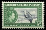 Гилберта и Эллис о-ва 1939-1955 гг. • Gb# 43 • ½ d. • Георг VI • основной выпуск • птица фрегат • MNH OG VF
